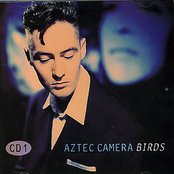 Aztec Camera - List pictures
