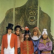 Nektar - List pictures