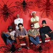 Nação Zumbi - List pictures