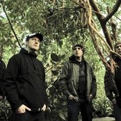 Long Distance Calling - List pictures