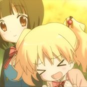 Rhodanthe - List pictures