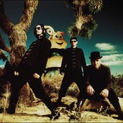 Primus - List pictures