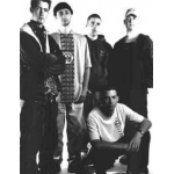 Spunge - List pictures