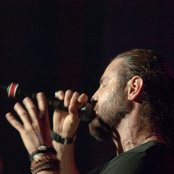 Shahin Najafi - List pictures