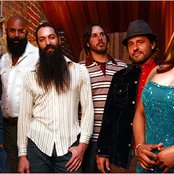 Dengue Fever - List pictures