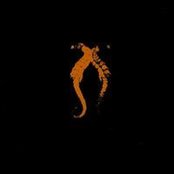 Luti-kriss - List pictures