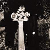 Rainbirds - List pictures