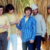 Beach Boys - List pictures
