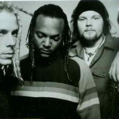 Jimmy's Chicken Shack - List pictures