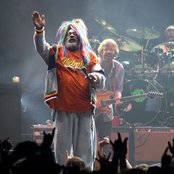 P-funk All Stars - List pictures