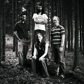 Wir Sind Helden - List pictures