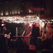 Dinosaur Feathers - List pictures