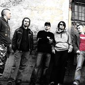 Shunk - List pictures