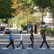 Shelf Life - List pictures