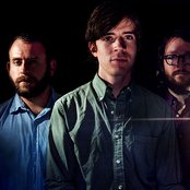 Yellow Ostrich - List pictures