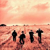 Noir Desir - List pictures