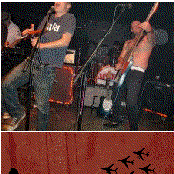 Attack Flamingo - List pictures