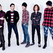 The Koxx - List pictures