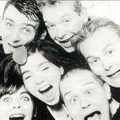 Sugarcubes - List pictures