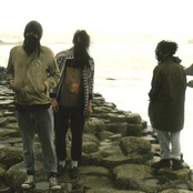 Is Tropical - List pictures