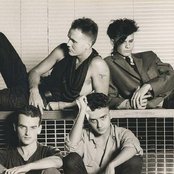 Neon - List pictures