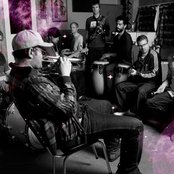 The Black Seeds - List pictures