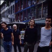 Bush - List pictures