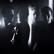 Goose - List pictures