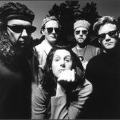 Pure - List pictures