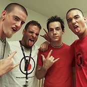 Taproot - List pictures