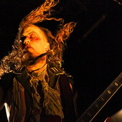 Sleepytime Gorilla Museum - List pictures