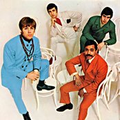 American Breed - List pictures