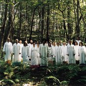 The Polyphonic Spree - List pictures