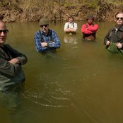 Tortoise - List pictures