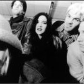 Green Apple Quick Step - List pictures