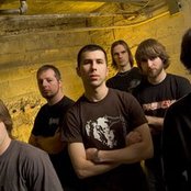 Despised Icon - List pictures