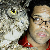 Busdriver - List pictures