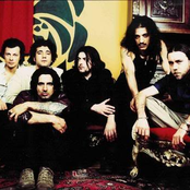 Timoria - List pictures