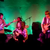 Fleet Foxes - List pictures