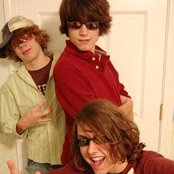 Linden - List pictures