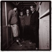 The Dingees - List pictures