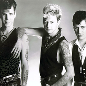Stray Cats - List pictures