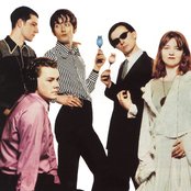 Pulp - List pictures
