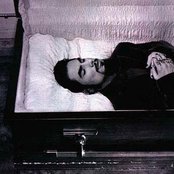 Dave Navarro - List pictures