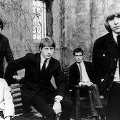 Yardbirds - List pictures