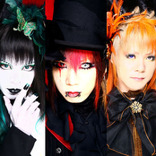 Beau - List pictures