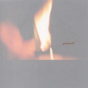 Speedwell - List pictures