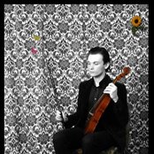 School Of Language - List pictures