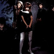 The Divinyls - List pictures