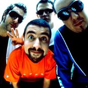 Molotov - List pictures